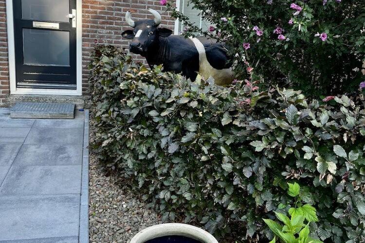 Cozy Holiday Home In Elim With A Furnished Garden Ngoại thất bức ảnh